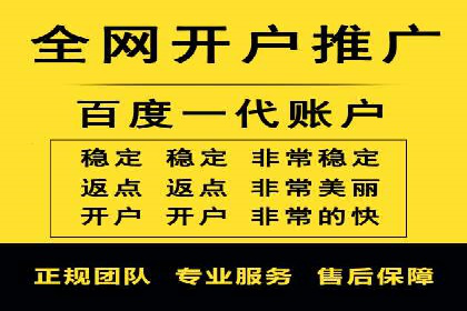 行业领先企业的sem竞价策略：成功案例剖析