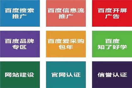 百度竞价包年服务：某行业领导品牌的成功故事
